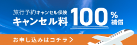 旅行予約キャンセル保険案内用バナーRVVillage.png
